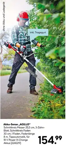 Hellweg Einhell akku-sense „agillo“ Angebot