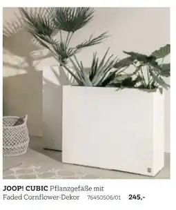 XXXLutz Joop! pflanzgefäße cubic Angebot