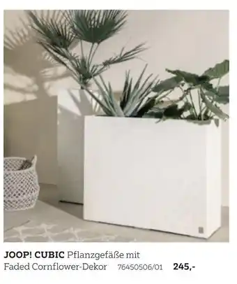 XXXLutz Joop! pflanzgefäße cubic Angebot