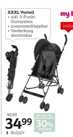 XXXLutz My baby lou buggy „pepi 2.0“ Angebot