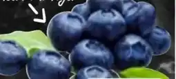 HIT Bio HIT Heidelbeeren Angebot