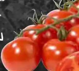 AEZ Gourmet Hit Cocktailstrauchtomaten Angebot