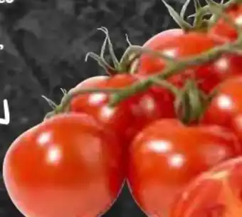 AEZ Gourmet Hit Cocktailstrauchtomaten Angebot
