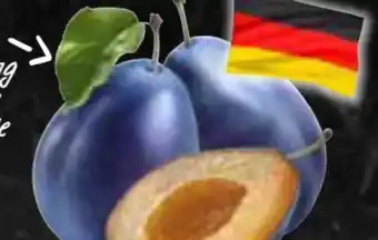 AEZ Zwetschgen Angebot