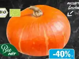 AEZ Bio HIT Bio-Kürbis Angebot