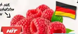 AEZ Hit Himbeeren Angebot