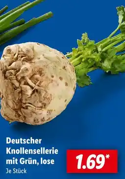Lidl Deutscher knollensellerie Angebot