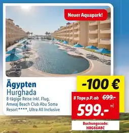 Lidl Ägypten hurghada 8-tägige reise inkl. flug, amwaj beach club abu soma resort , ultra all inclusive Angebot