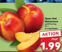 Kaufland Span./ital. nektarinen Angebot