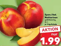 Kaufland Span./ital. Nektarinen Angebot