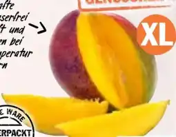 HIT Mango XL Angebot