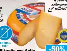 HIT Frau Antje Gouda Holland Angebot