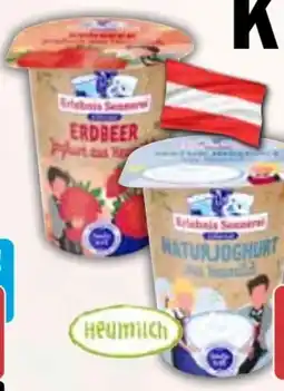 HIT Zillertaler BergSenn Heumilchjoghurt Natur Angebot