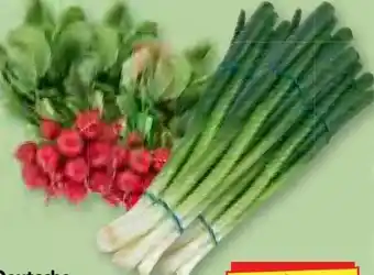 Edeka Herkules Radieschen Angebot