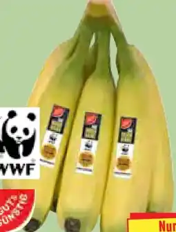 Edeka Herkules Gut & Günstig Bananen Angebot