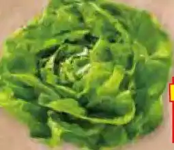 Edeka Herkules Edeka Heimatliebe Kopfsalat Angebot