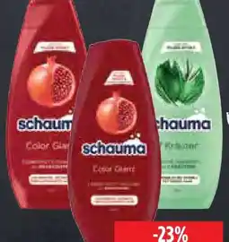 Edeka Herkules Schwarzkopf Schauma Shampoo Angebot