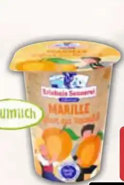 AEZ Erlebnis Sennerei Zillertal Marille Angebot