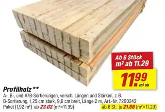 toom Baumarkt Profilholz Angebot
