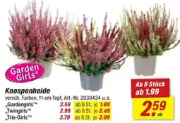 toom Baumarkt Knospenheide Angebot