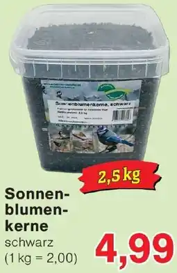 Wiglo Wunderland Sonnenblumenkerne Angebot