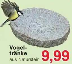 Wiglo Wunderland Vogeltränke Angebot