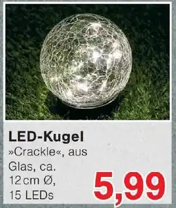 Wiglo Wunderland LED-Kugel Angebot