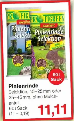 Wiglo Wunderland Pinienrinde Angebot