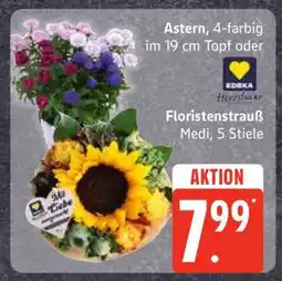 Edeka Astern oder Floristenstrauß Angebot