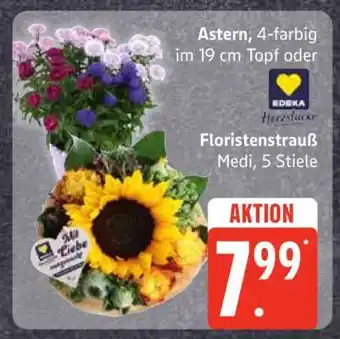 Edeka Astern oder Floristenstrauß Angebot