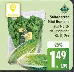 Edeka Salatherzen Mini Romana Angebot
