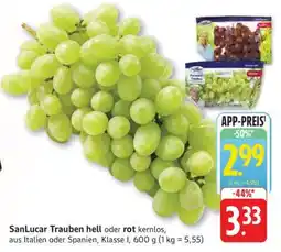 Edeka SanLucar Trauben hell oder rot kernlos Angebot
