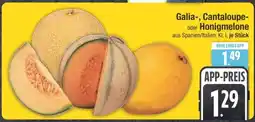 Edeka Galia-, Cantaloupe-, oder Honigmelone Angebot