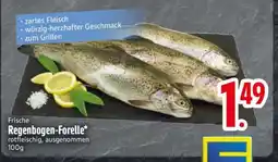 Edeka Frische Regenbogen-Forelle Angebot