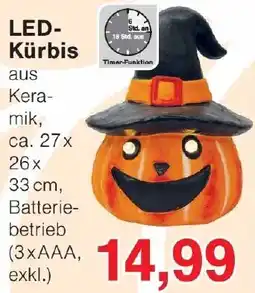 Wiglo Wunderland LED Kürbis Angebot