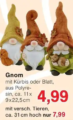 Wiglo Wunderland Gnom Angebot
