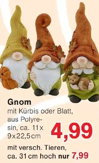 Wiglo Wunderland Gnom Angebot