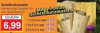 Wiglo Wunderland Schilfrohrmatte Angebot