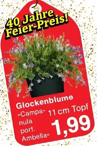 Wiglo Wunderland Glockenblume Angebot