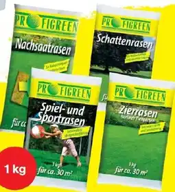 Wiglo Wunderland Rasensaat Angebot