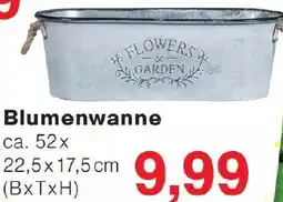 Wiglo Wunderland Blumenwanne Angebot