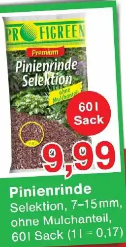 Wiglo Wunderland Pinienrinde Angebot