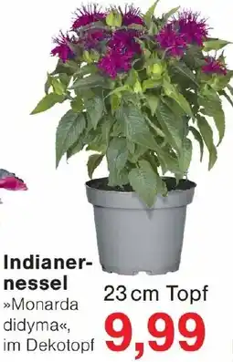 Wiglo Wunderland Indianernessel Angebot
