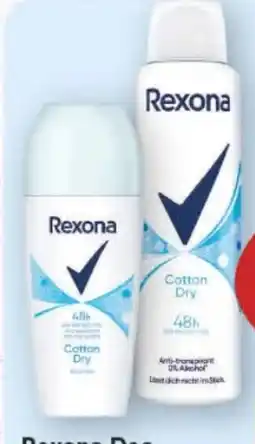 E-Center Rexona Deo Angebot