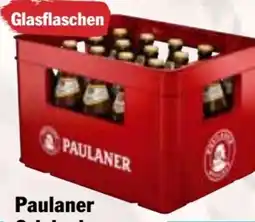HIT Paulaner Original Münchner Hell Angebot