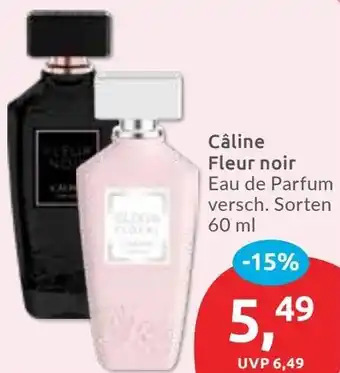 Budni Câline Fleur noir Eau de Parfum Angebot