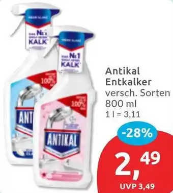 Budni Antikal Entkalker Angebot