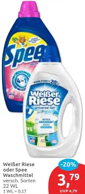 Budni Weißer Riese oder Spee Waschmittel Angebot