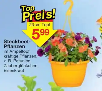 Jawoll Steckbeet Pflanzen Angebot