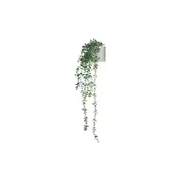 Netto Marken-Discount hjh OFFICE Kunstpflanze EUCALYPTUS CLIMB Kunststoff Angebot